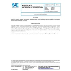 SAE AMSDTL22499/3B SAE AMSDTL22499/3B