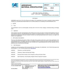 SAE AMS6448M