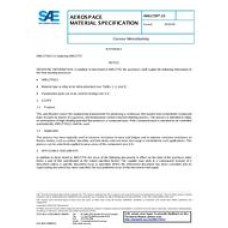 SAE AMS2759/13 SAE AMS2759/13