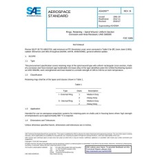 SAE AS4299B