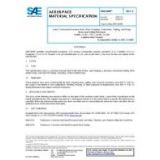 SAE AMS5848E SAE AMS5848E