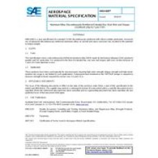 SAE AMS4369 SAE AMS4369