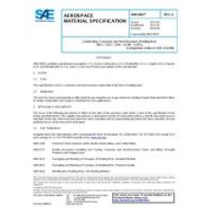 SAE AMS5801G SAE AMS5801G