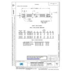 SAE AS4478C SAE AS4478C