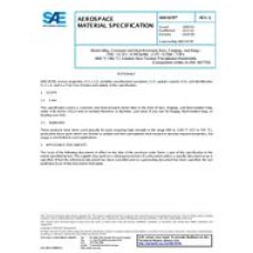 SAE AMS5670G SAE AMS5670G