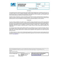 SAE AS13006