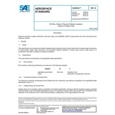 SAE AS50861B SAE AS50861B