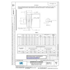SAE AS21431C SAE AS21431C