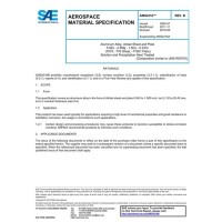 SAE AMS4316B