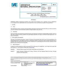 SAE AMS5833E SAE AMS5833E