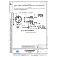 SAE AS31061C
