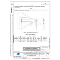 SAE AS81306/1C