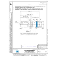 SAE AS5791B SAE AS5791B