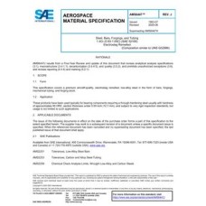 SAE AMS6447J SAE AMS6447J
