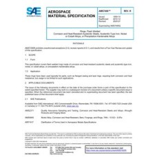 SAE AMS7490R SAE AMS7490R