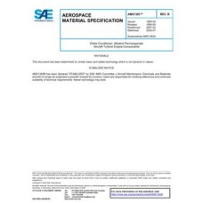 SAE AMS1383B SAE AMS1383B
