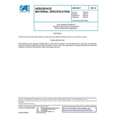 SAE AMS1384B