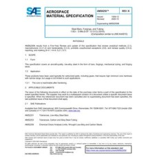 SAE AMS6250N SAE AMS6250N