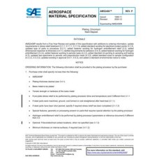 SAE AMS2406P SAE AMS2406P