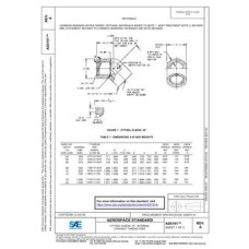SAE AS5191A SAE AS5191A
