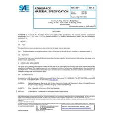 SAE AMS4460B SAE AMS4460B