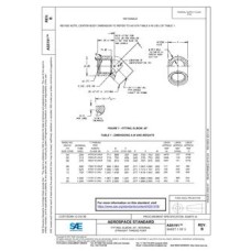 SAE AS5191B SAE AS5191B