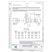 SAE AS9460B
