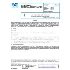 SAE AMS6487M SAE AMS6487M