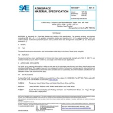 SAE AMS5608H SAE AMS5608H