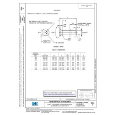 SAE AS125251C