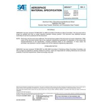 SAE AMS4304C