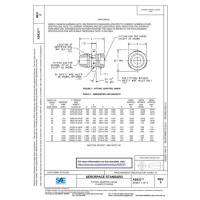 SAE AS933F