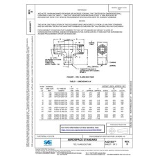 SAE AS21905E SAE AS21905E