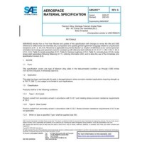 SAE AMS4905G