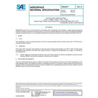 SAE AMS4600B