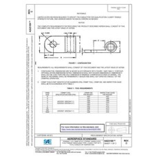 SAE AS25189C SAE AS25189C