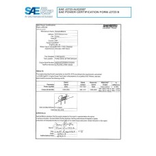 SAE CPGM1_19SILVSIE SAE CPGM1_19SILVSIE