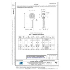 SAE AS21151F