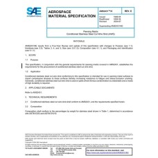 SAE AMS2431/4E SAE AMS2431/4E