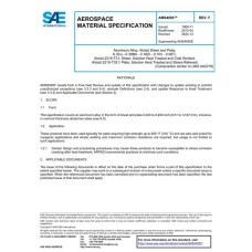 SAE AMS4095F