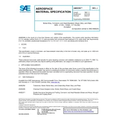 SAE AMS5599J SAE AMS5599J