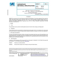 SAE AMS6517C:2025