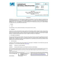 SAE AMS6528E:2022