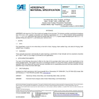 SAE AMS5884E