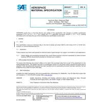 SAE AMS4029M