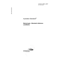 AS ISO 13443-2007