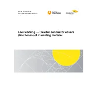 AS IEC 61479:2026