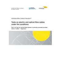 AS/NZS IEC 60332.3.10:2021