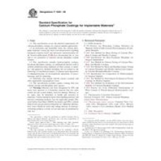 ASTM F1609-08