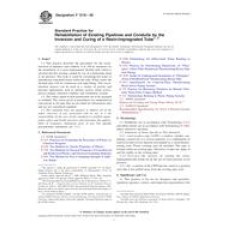 ASTM F1216-09